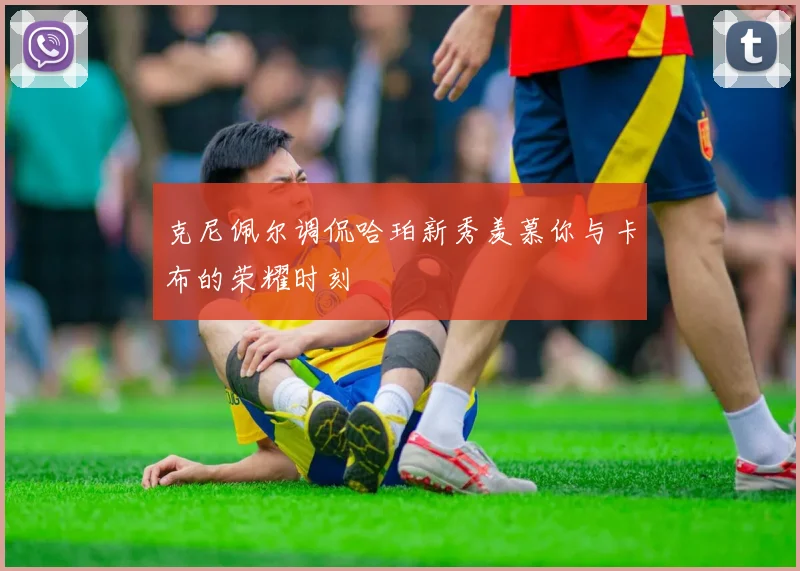 克尼佩尔调侃哈珀新秀羡慕你与卡布的荣耀时刻