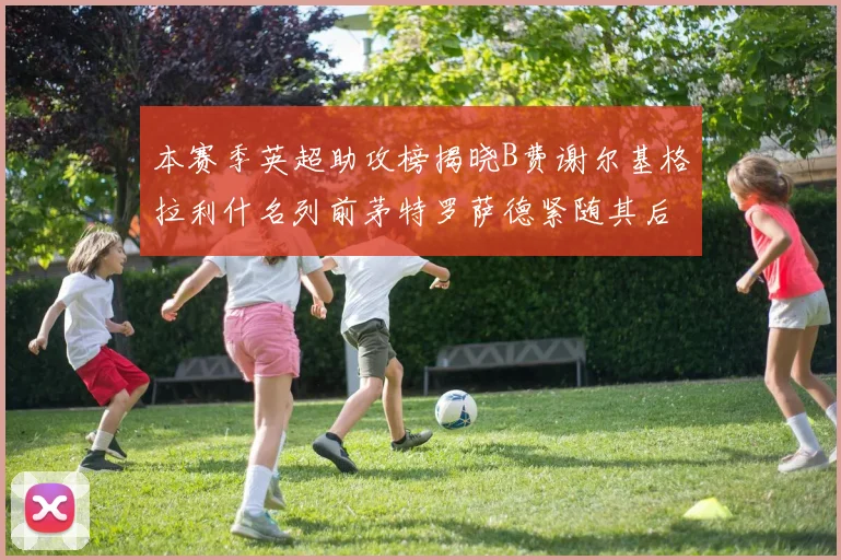 本赛季英超助攻榜揭晓B费谢尔基格拉利什名列前茅特罗萨德紧随其后
