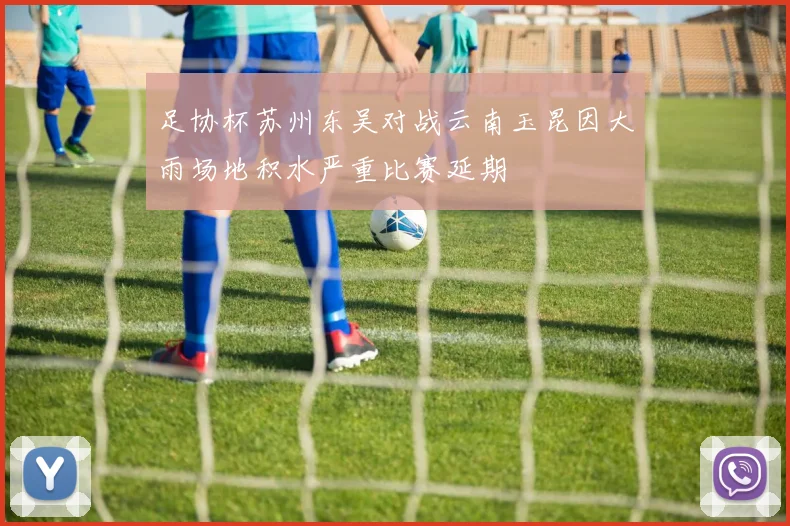 足协杯苏州东吴对战云南玉昆因大雨场地积水严重比赛延期